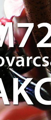 rovarcsapda-akcio-kompel-fooldal-slider